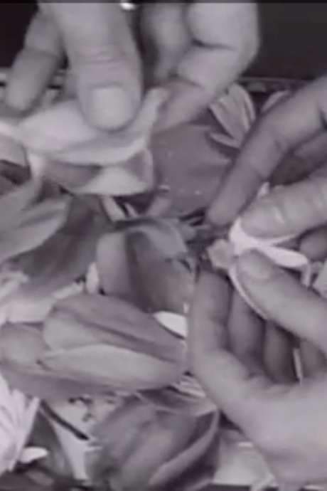 The Clouds That Touch Us Out of Clear Skies